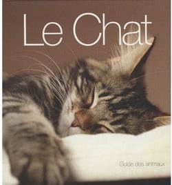 Le chat