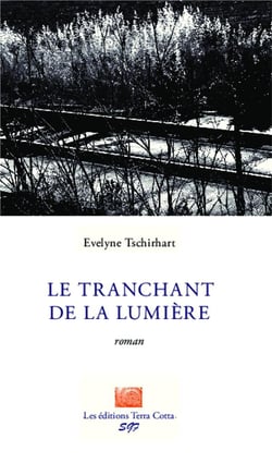 Le tranchant de la lumière : Roman
