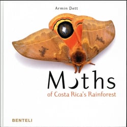 Moths of Costa Rica's rainforest
