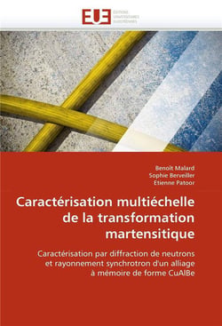 Caracterisation multiechelle de la transformation martensitique