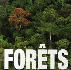 Forêts