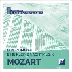 Divertimenti - eine kleine nachtmusik
