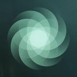 The Shape Of Everything