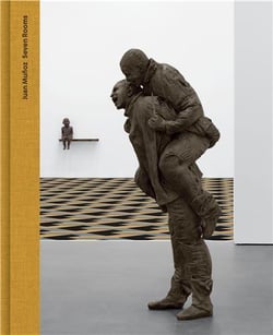 Juan Munoz : seven rooms