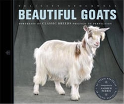 Beautiful goats