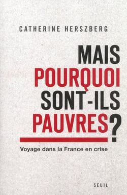 Mais pourquoi sont-ils pauvres ? - voyage dans la France en crise