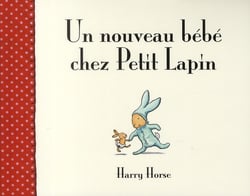 Un nouveau bébé chez petit lapin
