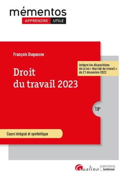 Droit du travail 2023 : intègre les dispositions de la loi "marché du travail" du 21 décembre 2022 (18e édition)