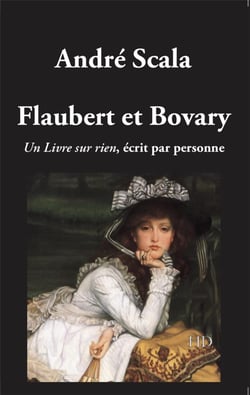 Flaubert et bovary - un livre sur rien ecrit par personne