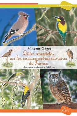 Petites anecdotes sur les oiseaux extraordinaires de France