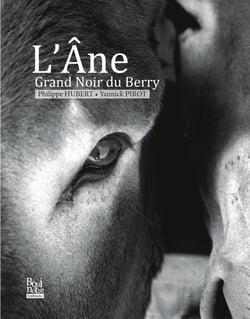 L'Âne Grand Noir du Berry
