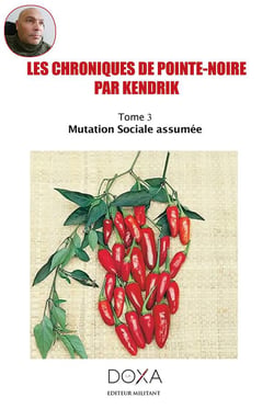 Les chroniques de Pointe-Noire Tome 3 : mutation sociale assumée