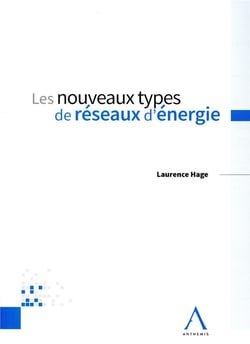 LES NOUVEAUX TYPES DE RESEAUX D ENERGIE