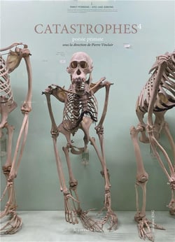 Catastrophes 4 : poèsie primate
