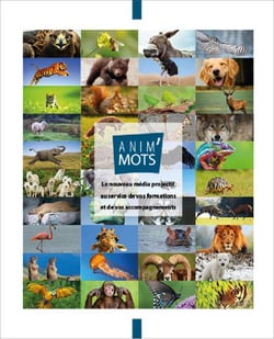 Anim'mots