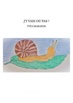 J'Y VAIS OU PAS ?