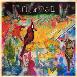 Fly or die II : bird dogs of paradise