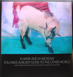 You Have Already Gone To The Other World - édition gatefold