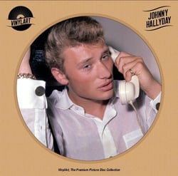 Vinylart - Johnny Hallyday - Vinyle