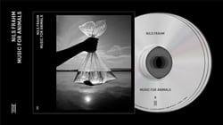 Music For Animals