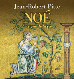 Noé : La vigne de la vie