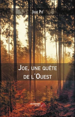 Joe, une quete de l'ouest