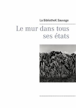 Le mur dans tous ses états