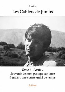 Les cahiers de Junius t.1 - partie 1