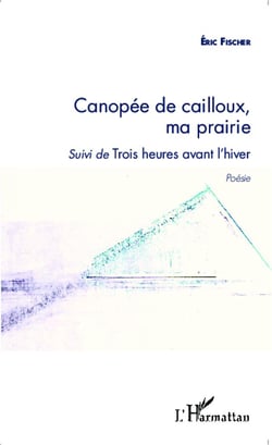 Canopée de cailloux, ma prairie - trois heures avant l'hiver