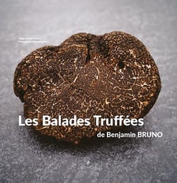 Les balades truffées