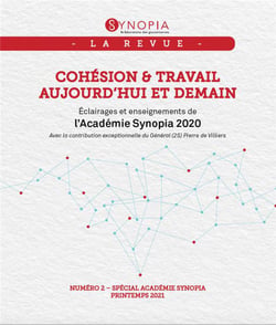 Synopia n.2 : cohésion & travail