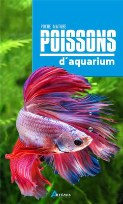 Poissons d'aquarium