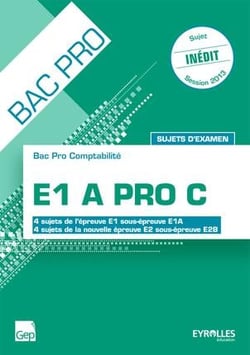 E1 a pro c - sujets d'examen - épreuve e2b