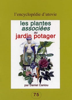 Les plantes associées au jardin potager