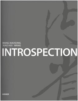 Introspection xiao hui wang, wang xiaosong