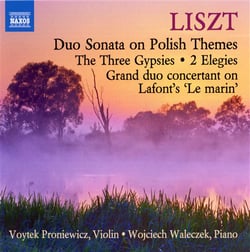 Music for violin and piano