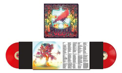 Puzzle 14 - Vinyle