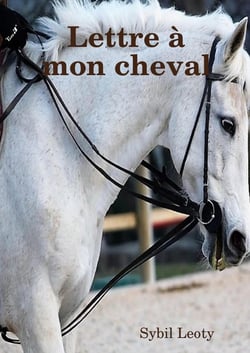 Lettre à mon cheval