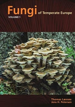 Fungi of temperate Europe