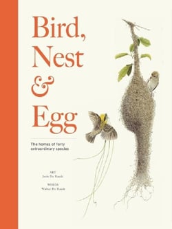 Bird, nest & egg