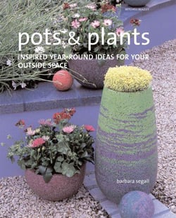 Pots and plants - inspired year-round ideas for your outside space