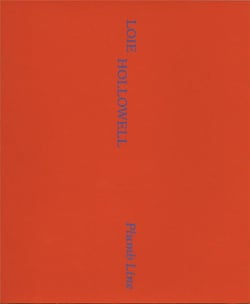 Loie hollowell: plumb line