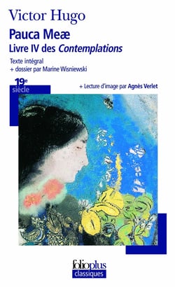 Pauca Meae : Livre IV des Contemplations
