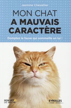 Mon chat a mauvais caractère - domptez le fauve qui sommeille en lui