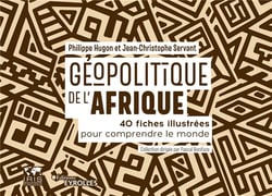 Géopolitique de l'Afrique - 40 fiches illustrées pour comprendre le monde