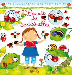 La vie des coccinelles