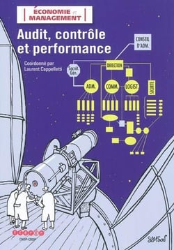 Audit, controle et performance
