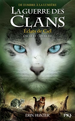 La guerre des clans - cycle 6 - de l'ombre à la lumière Tome 3 : éclats de ciel