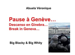 Pause à genève