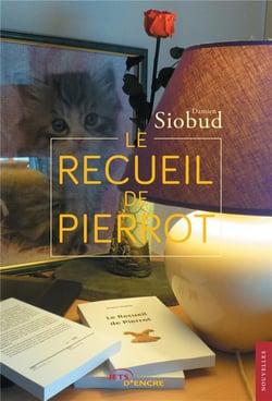 Le recueil de pierrot